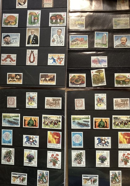 galleryimage 3