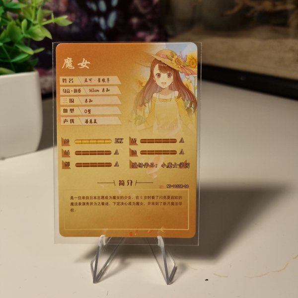 galleryimage 2 zoomed in