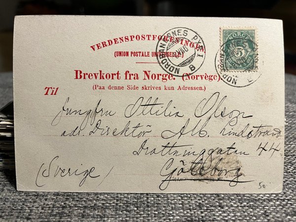 galleryimage 2 zoomed in