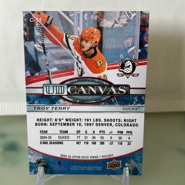 galleryimage 2 zoomed in