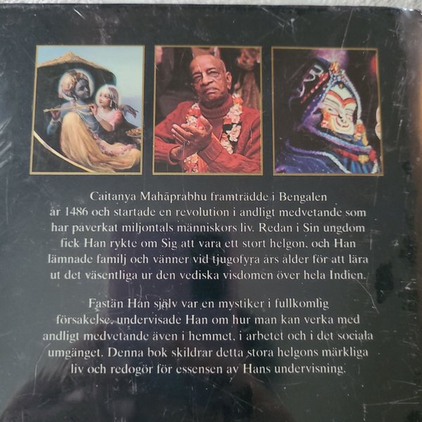 galleryimage 2
