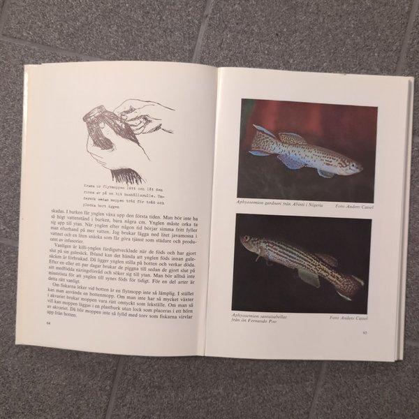 galleryimage 3