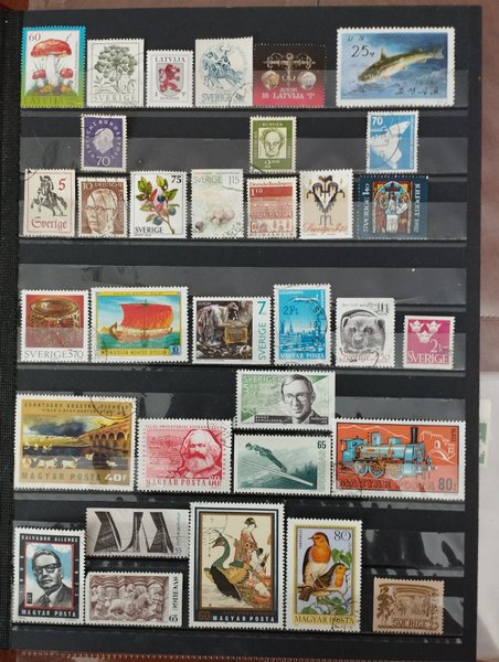 galleryimage 2 zoomed in