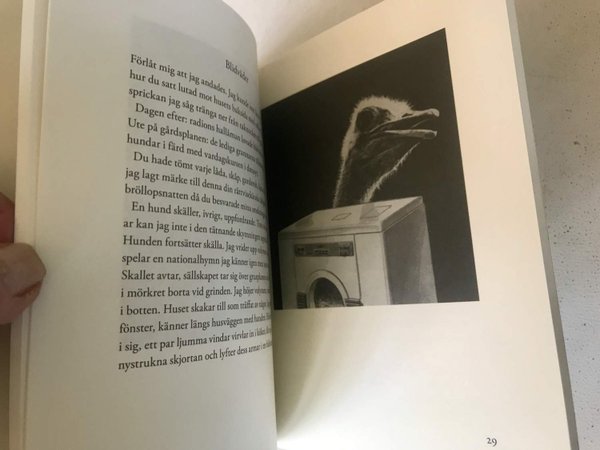 galleryimage 3