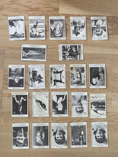 galleryimage 2