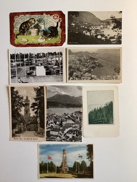 galleryimage 2 zoomed in