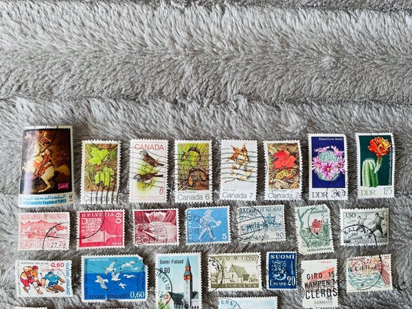 galleryimage 2
