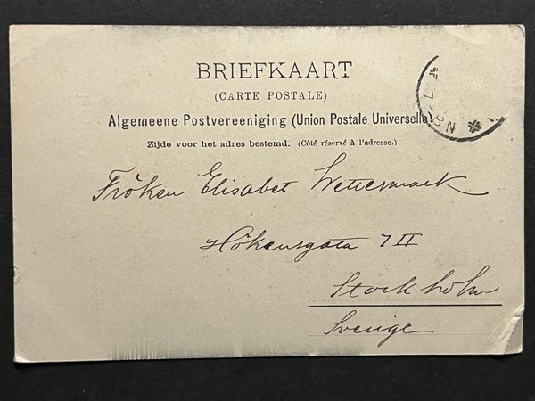 galleryimage 2 zoomed in