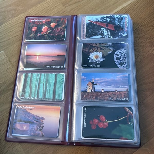 galleryimage 2