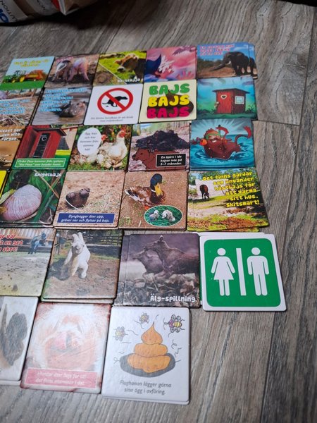 galleryimage 3