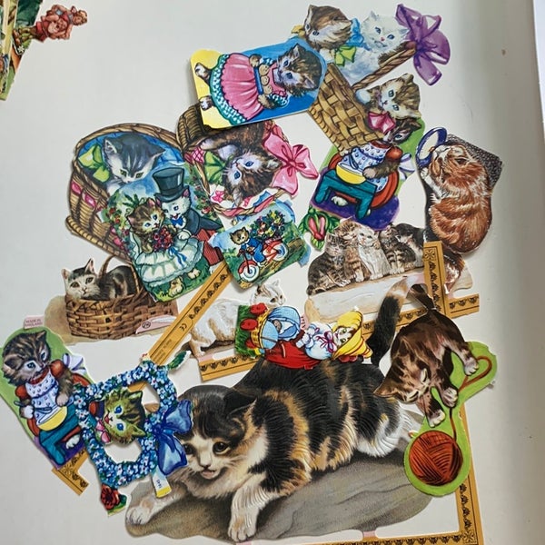 galleryimage 2