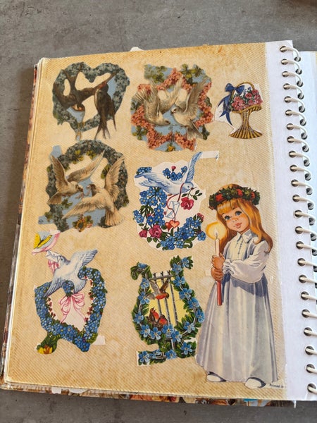galleryimage 2