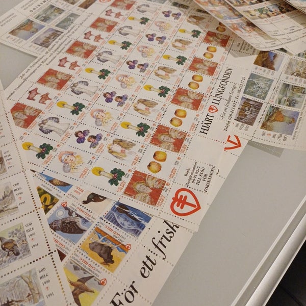 galleryimage 3