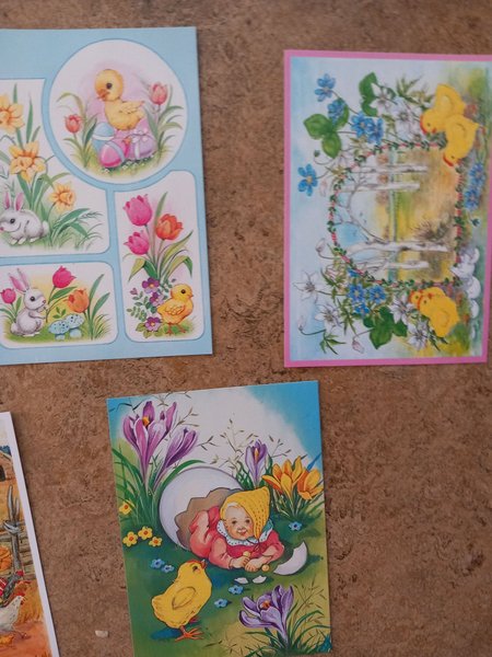 galleryimage 2