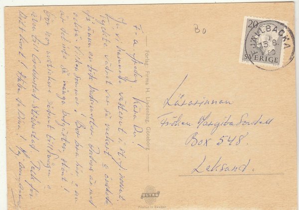 galleryimage 2 zoomed in