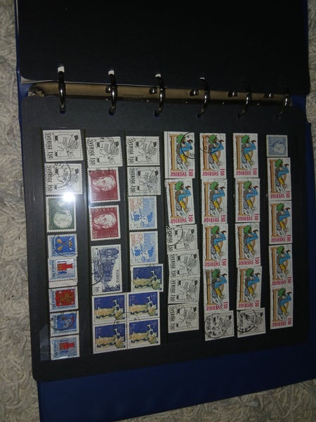 galleryimage 3