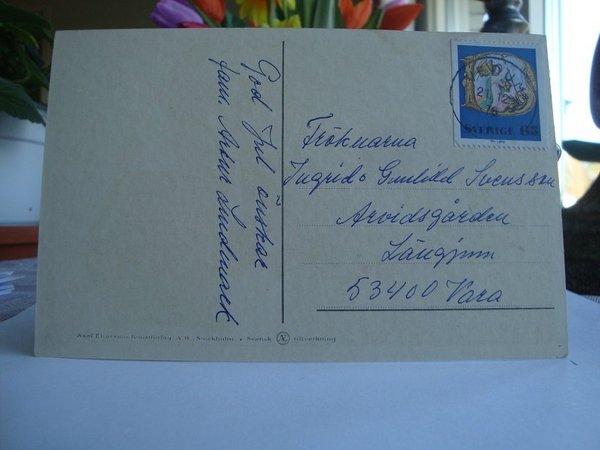 galleryimage 2 zoomed in