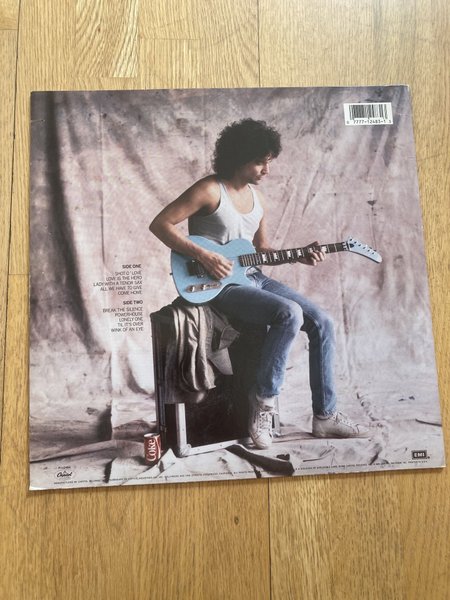 galleryimage 2 zoomed in