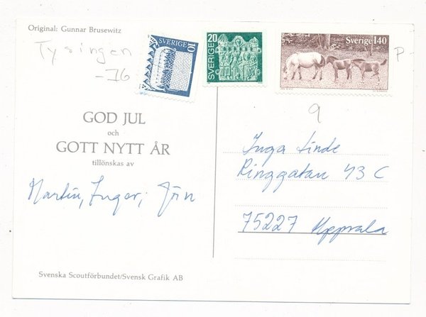 galleryimage 2 zoomed in