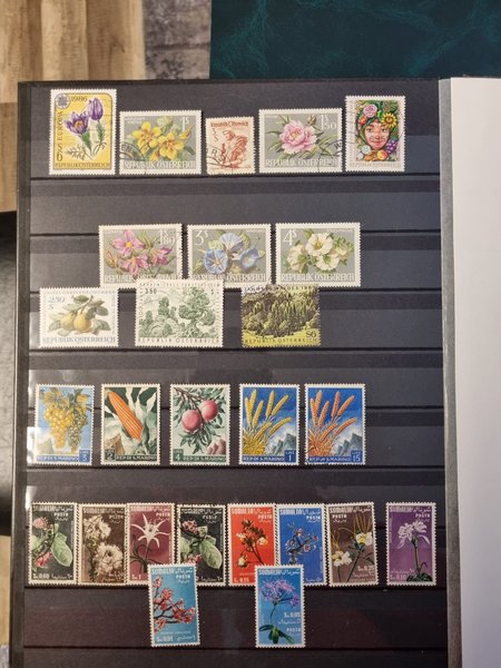 galleryimage 2 zoomed in