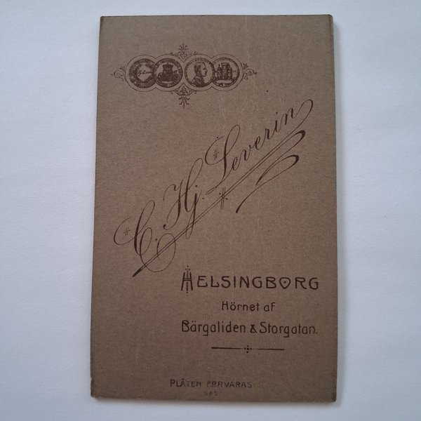 galleryimage 2