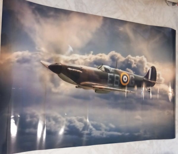 galleryimage 3