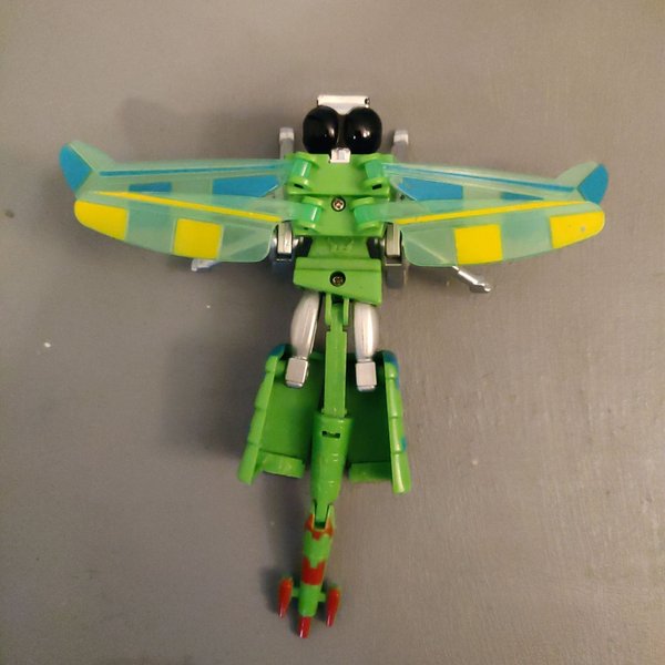galleryimage 2