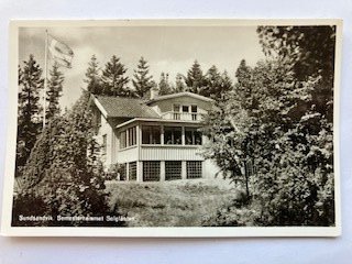 galleryimage 3