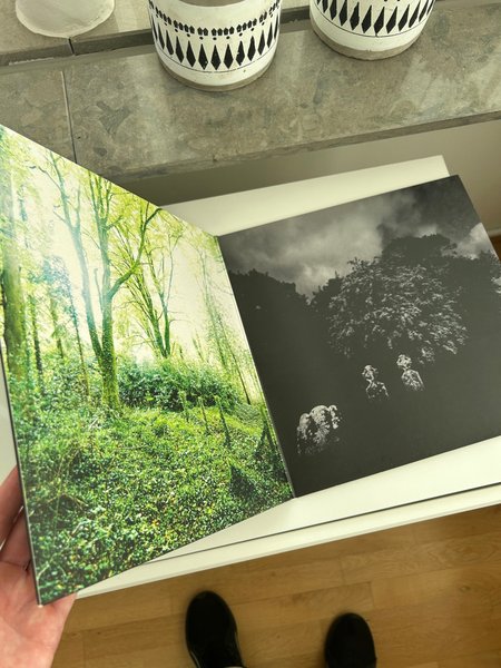 galleryimage 2