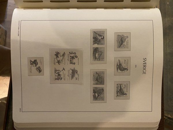 galleryimage 2