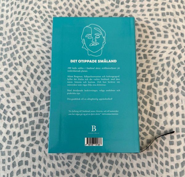 galleryimage 2 zoomed in