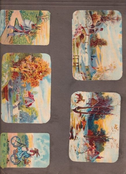 galleryimage 3