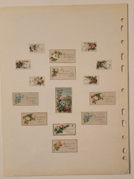 galleryimage 2 zoomed in