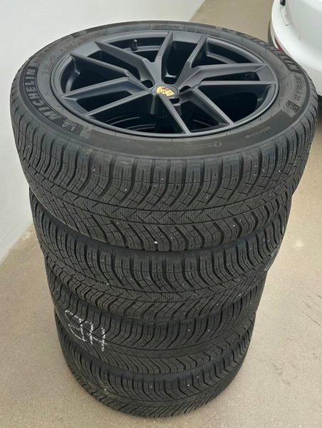 galleryimage 2 zoomed in