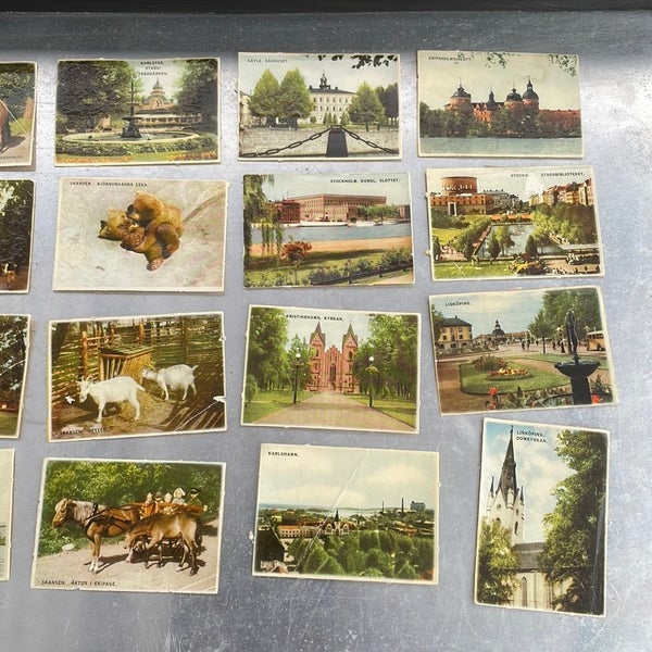 galleryimage 3