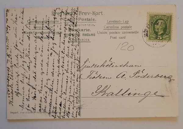 galleryimage 2 zoomed in