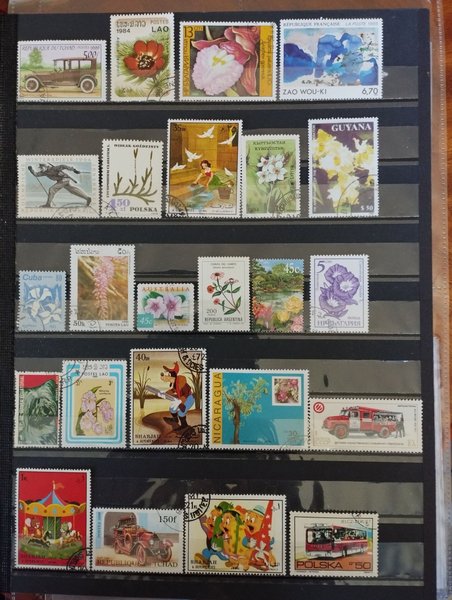 galleryimage 2 zoomed in