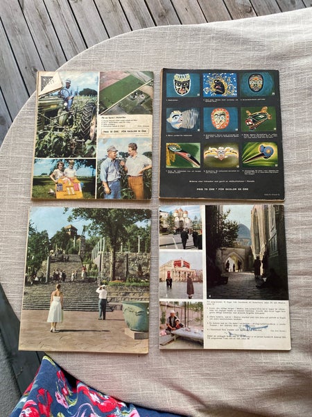 galleryimage 3