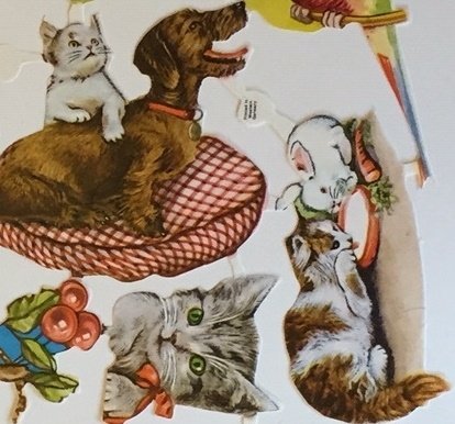 galleryimage 2 zoomed in