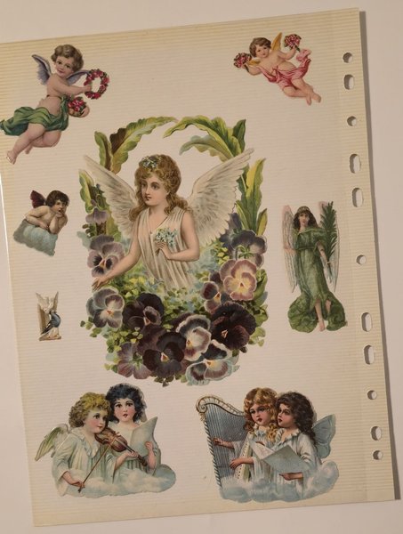 galleryimage 2 zoomed in