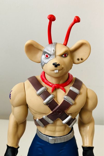 galleryimage 2