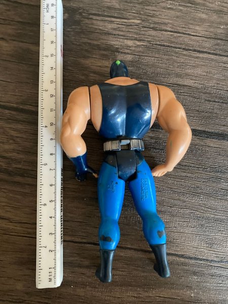 galleryimage 2 zoomed in