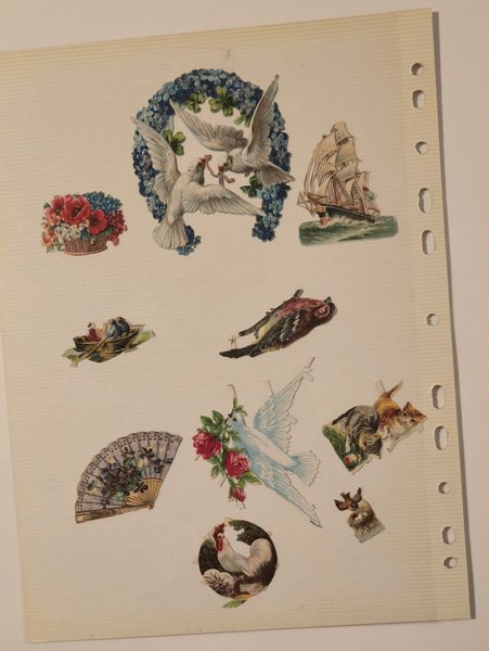 galleryimage 2 zoomed in