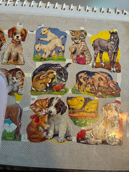galleryimage 2