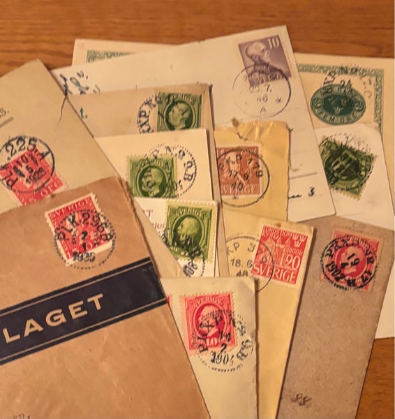galleryimage 3
