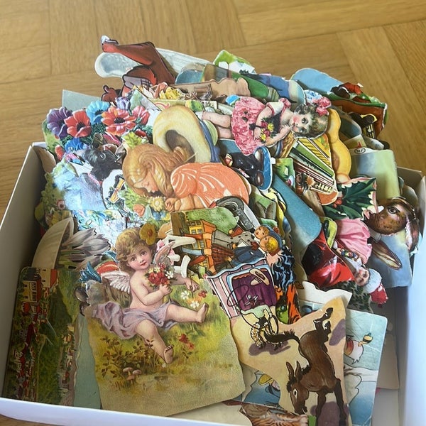 galleryimage 2
