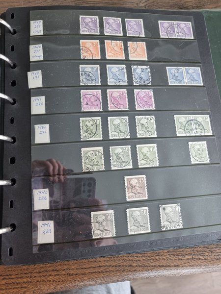 galleryimage 2
