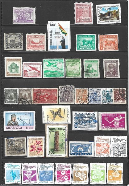 galleryimage 2 zoomed in