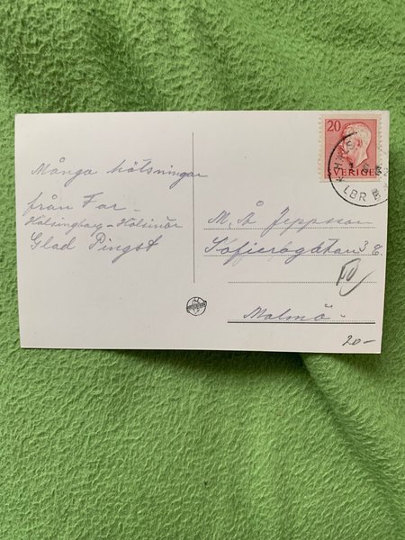 galleryimage 2 zoomed in