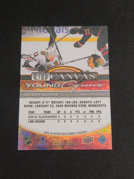 galleryimage 2 zoomed in